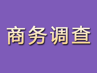 新晃商务调查